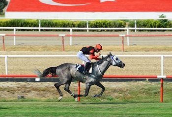 Muzaffer Can Koşusu'nu Maden Dağı kazandı