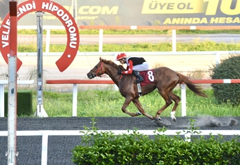 Yürüyen Köşk Koşusu'nun galibi Modern Warrior oldu