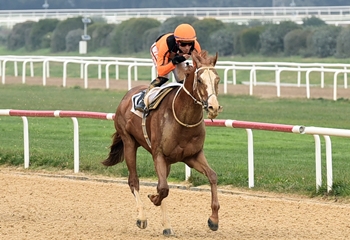 Ethem Menderes Koşusu’nda zaferin adı Wardenclyffe