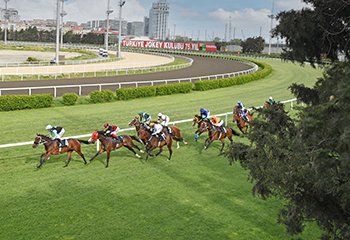 Malayan Racing Association Koşusu'nda birinciliğe Mitros On Fire uzandı