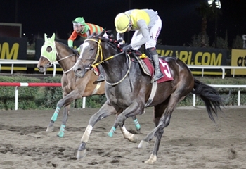 Müslüm Tumbul Koşusu’nda kazanan War Comander oldu