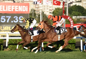 Eküri.com Nene Hatun Koşusu’nda kazanan Amazing Touch