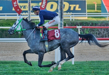 Necip Fazıl Kısakürek Koşusu’nda kazanan Hopdedik oldu