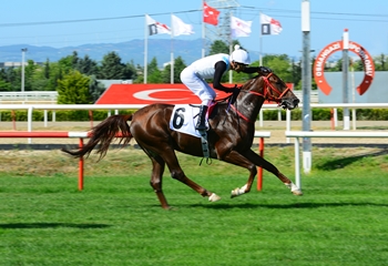 Orhangazi Koşusu’nda kazanan Özbucak oldu