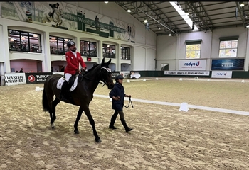 Alperen Alper 2025 yılı At Terbiyesi ve Para At Terbiyesi yarışmalarına katıldı