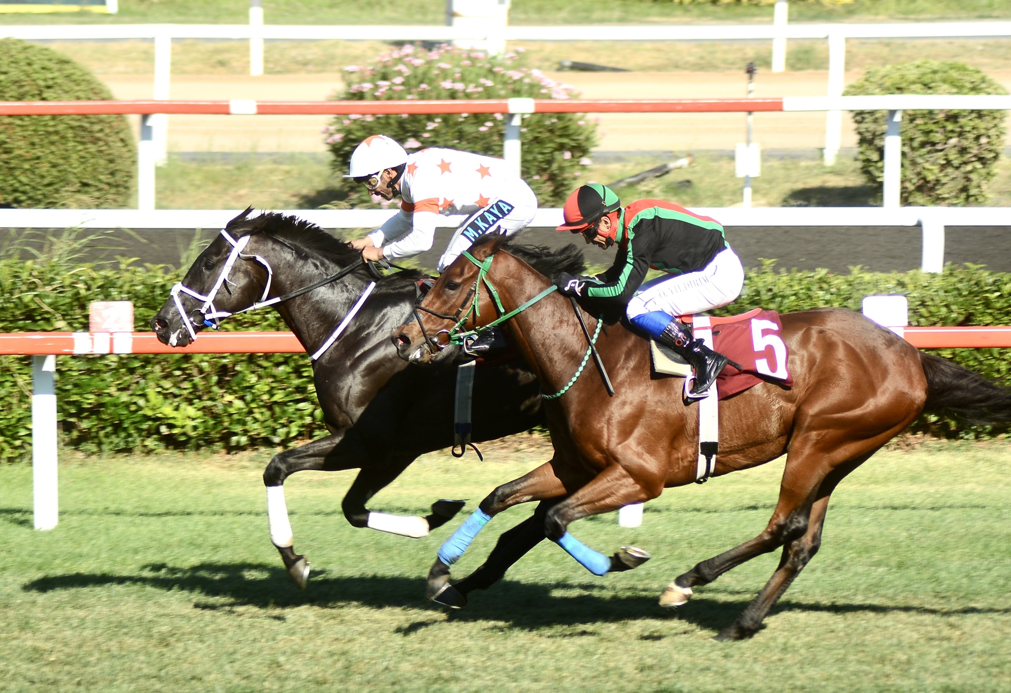 Osman T. Atakol Koşusu’nda birinciliğe Ride The Lightning uzandı
