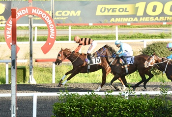 Dolmabahçe Koşusu'nda birinciliğe Shinny uzandı