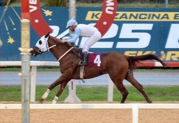 Şükrü Yurteri Koşusu’nu Sadık Ağanın Oğlu kazandı