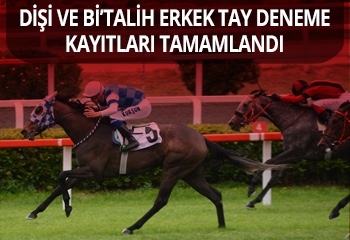 70. Dişi Tay Deneme ve Bi’Talih Erkek Tay Deneme Koşularına kayıtlar tamamlandı