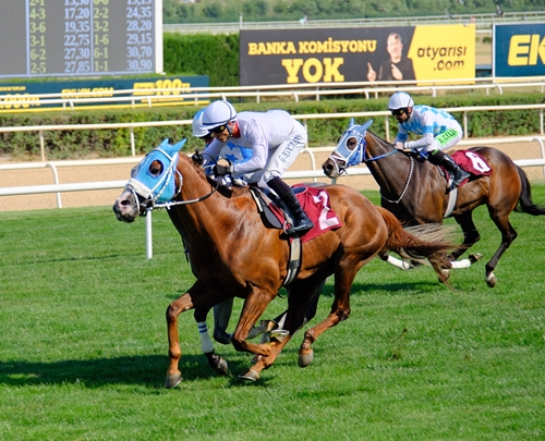 Avtobusda ovora va sikilgan ayollar suratlari