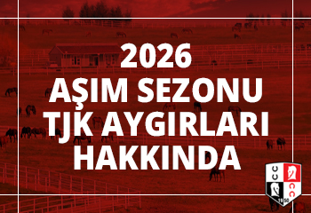 2026 Aşım Sezonu TJK Aygırları hakkında