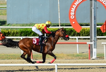 Nilüfer Belediye Başkanlığı Koşusu'nu Taşan kazandı
