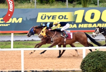 Tulga Yüzatlı Koşusu’nda galibiyet Magic Selectra’nın oldu