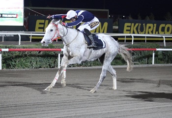 Şanlıurfa'da Sonbahar - Kış Sezonu başladı