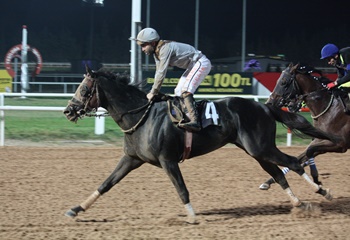 Çukurova Üniversitesi Rektörlüğü Koşusu'nu Black Pablo kazandı