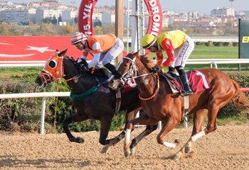 Dünya Şehircilik Günü Koşusu’nu Fatma Zeryam kazandı