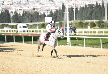 M. Turhan Oğan Koşusu'nda kazanan Katı Zamanı oldu
