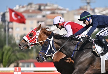 Ahmet Cemal Kura Koşusu'nda kazanan Etsuko oldu
