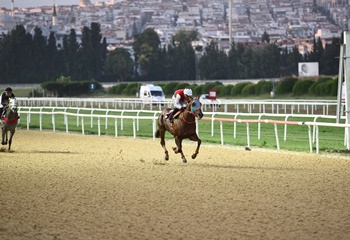 Berat Gökçe Koşusu'nu Huge Succes kazandı