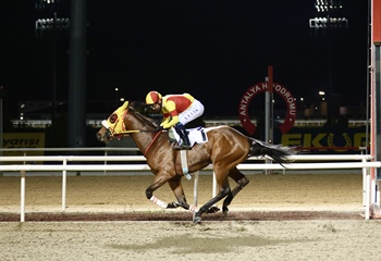 Uluslararası Finike Koşusu'nda kazanan Bay Nalçakan oldu