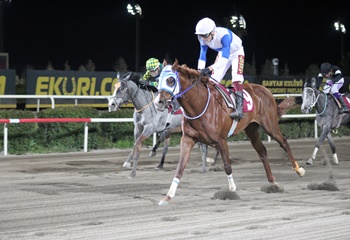 Gap Koşusu'nda kazanan The Hocus oldu