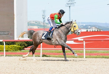 Kocaeli'de ilkbahar - yaz yarış sezonu başladı