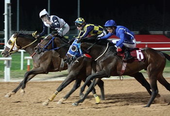 Kadına Şiddete Hayır Koşusu'nda kazanan Hood River oldu