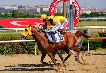Yüksek Komiserler Kurulu Koşusu'nda kazanan Kahramanoğlu oldu