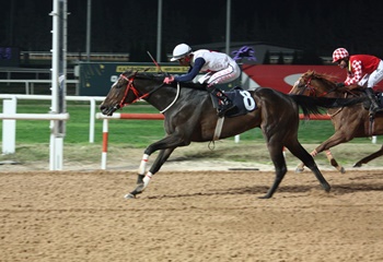 Halis Kökbudak Koşusu'nda kazanan Mavi Topaz oldu