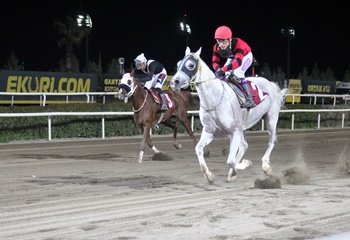 Şanlıurfa'nın Kurtuluşu Koşusu'nu Anadolu Gücü kazandı