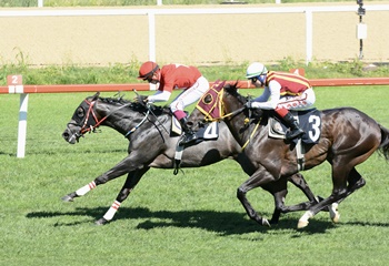 Mehmet Akar Koşusu'nda kazanan Bold Lion oldu