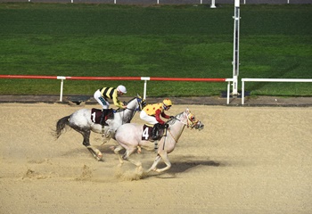 Muhittin Ekiz Koşusu'nu Rüzgardahan kazandı