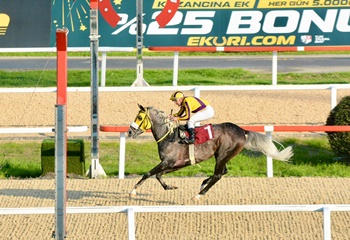 Münir Köseoğlu Koşusu'nu üst üste ikinci kez Ak Filozof kazandı