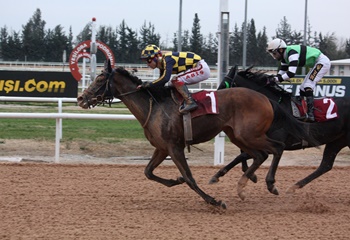 Mersin Büyükşehir Belediye Başkanlığı Koşusu'nu Bayır Efe kazandı