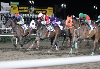 Uluslararası Şanlıurfa Büyükşehir Belediye Başkanlığı Koşusu'nu Dar Sokak kazandı