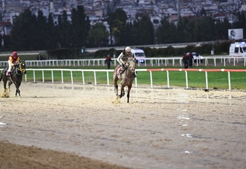 TSYD İzmir Şubesi Koşusu'nda kazanan Queen Sev oldu