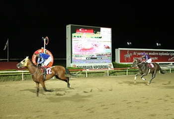 Diyarbakır Büyükşehir Belediye Başkanlığı Koşusu’nda galibiyete uzanan Seek And Destroy oldu