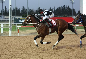 Faruk Ayral Koşusu'nda kazanan Frou Frou oldu
