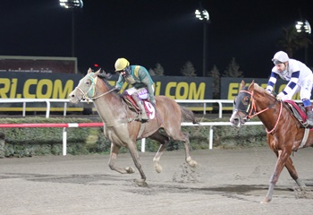 Göbeklitepe Koşusu'nda galibiyet Akdağ Fırtınası'nın oldu