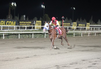 Haliliye Belediye Başkanlığı Koşusu’nu Kralcevheri kazandı