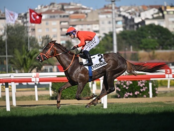Haliç Koşusu’nda zaferin adı Charabanc oldu