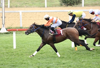 M. Kemal Karamehmet Koşusu'nu Jazz Runner kazandı