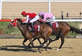 Sedat Üründül Koşusu'nda kazanan Theater Of War oldu
