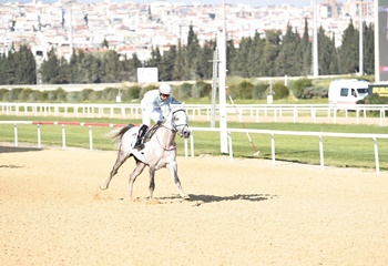 Nejat Evliyazade Koşusu'nu İlkerhan kazandı