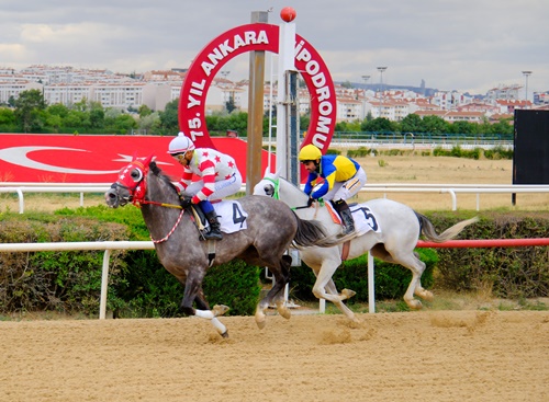 Sultansuyu Tarım İşletmesi Koşusu'nda kazanan Kethüda oldu