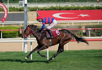 Yalçın Batur Koşusu'nu Victory Waltz kazandı