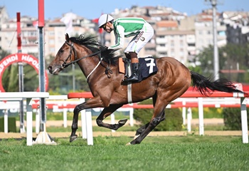 Yavuz Gülerce Koşusu'nu Parker kazandı