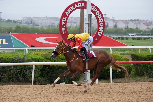 AB Başkanlığı Avrupa Günü Koşusu'nda kazanan Good Wiew Glory oldu