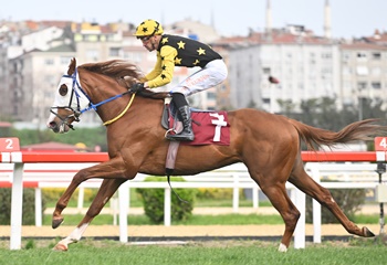 Ergin Talay Koşusu'nu Wolf Rules kazandı