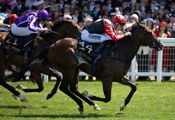 Aracı ekürisinden Ascot'ta galibiyet